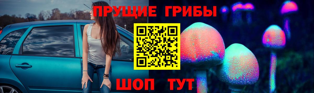 Галлюциногенные грибы GOLDEN TEACHER Гусь-Хрустальный